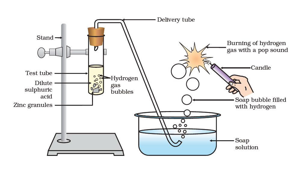 Reaction of zinc granules with dilute sulphuric acid and testing hydrogen gas by burning