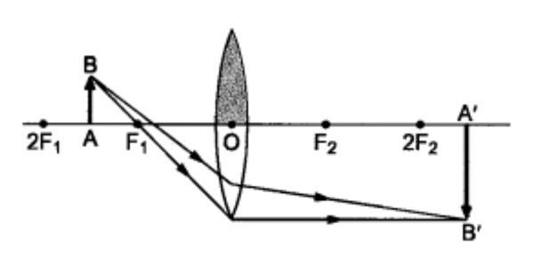 One half of a convex lens is covered with a black paper