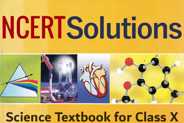 ncert-solutions-for-class-10-science-new-2023-24-solution-sir