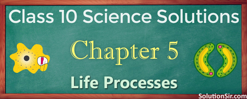 NCERT Solutions for Class 10 Science Chapter 5 Exercise
