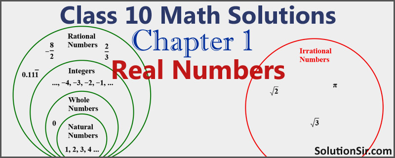 class 10 ncert math book chapter 1